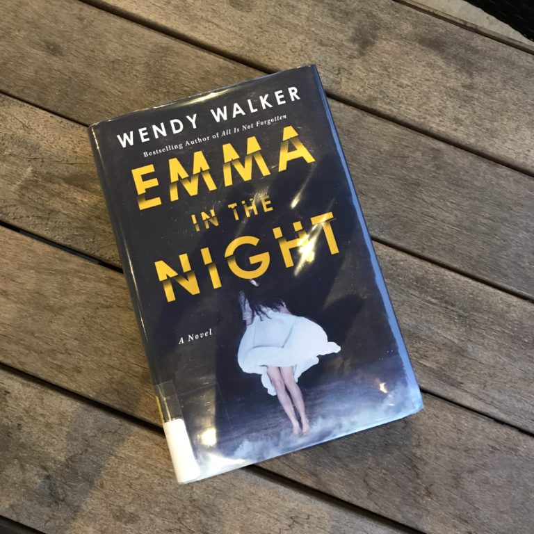 Review Emma in the Night by Wendy Walker LisaAnnReads