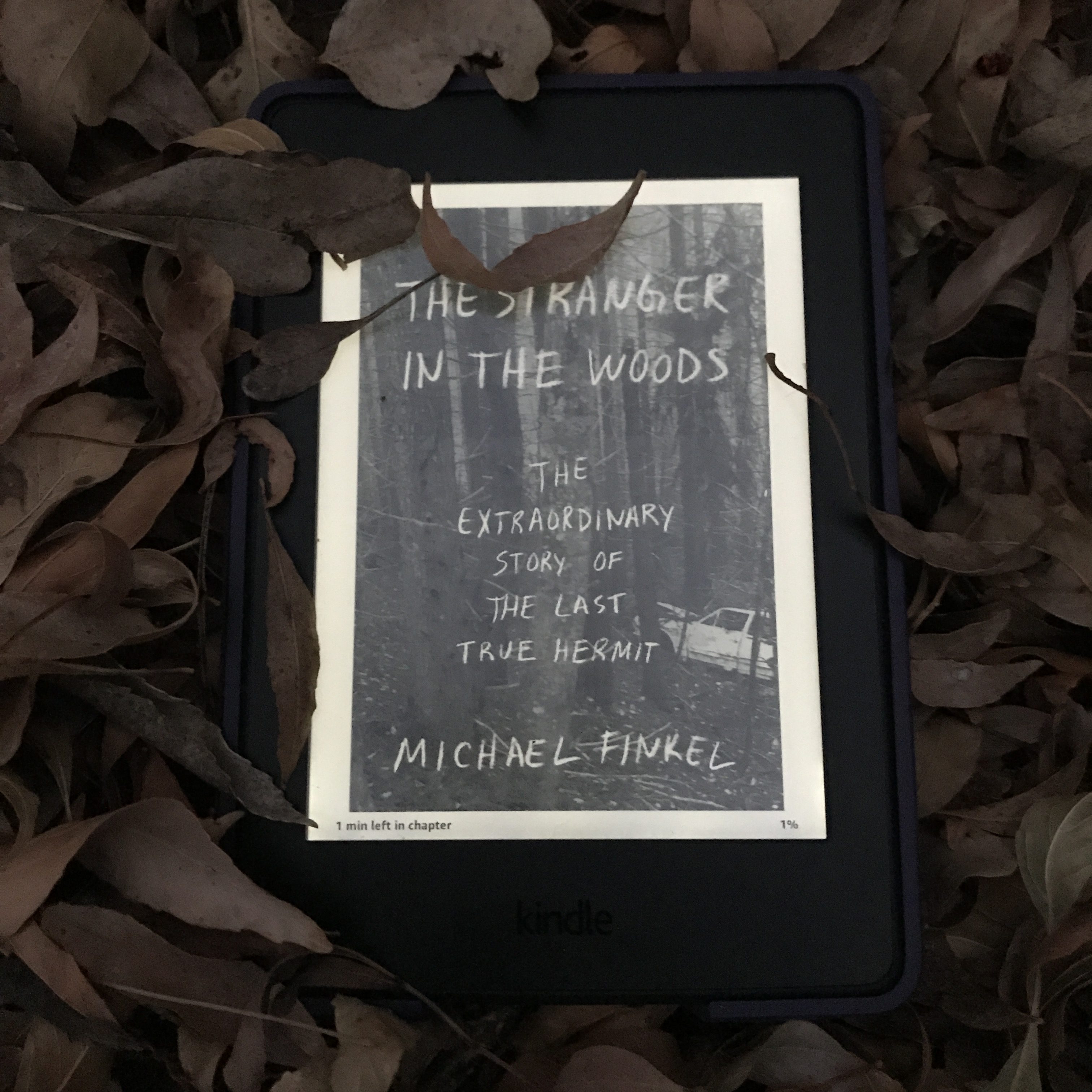 Review The Stranger in the Woods by Michael Finkel LisaAnnReads